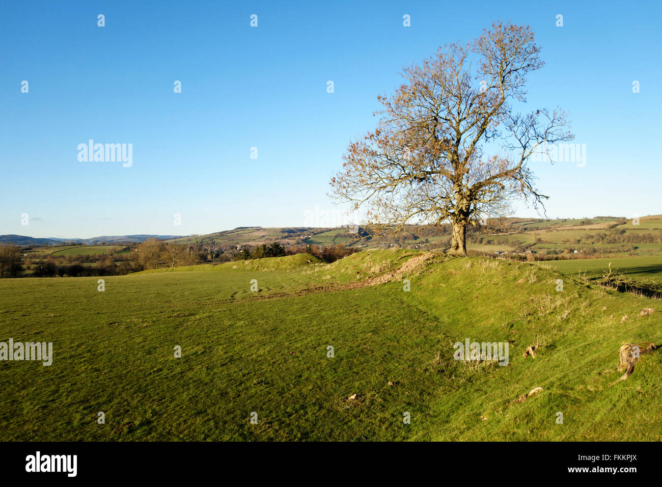 Leintwardine, Herefordshire, UK. The vallum (earth rampart) around the nearby Roman fort of Brandon Camp (Branogenium), once an Iron Age hill fort Stock Photo