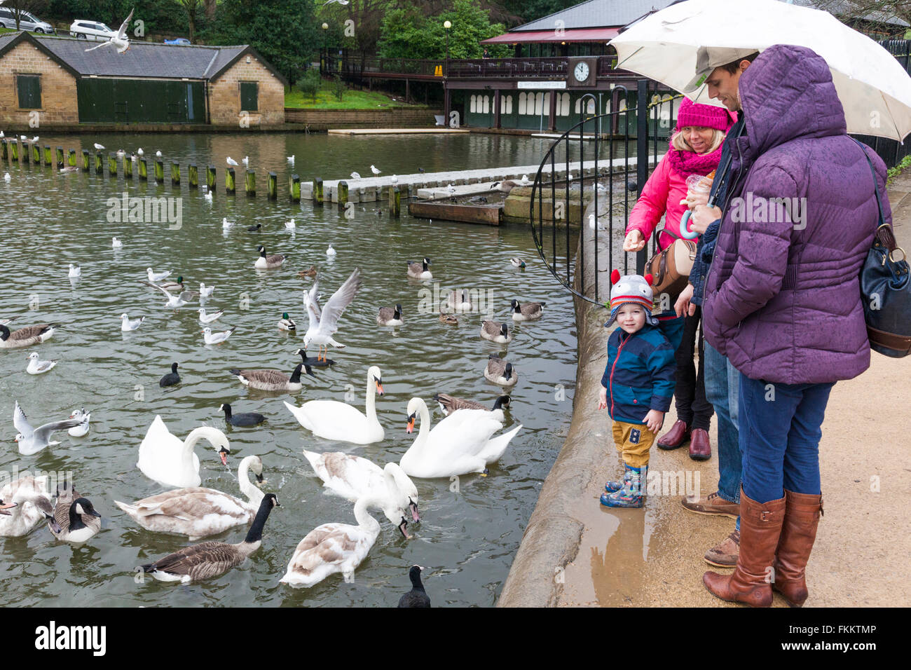 A young family feeding the ducks on a wet day at Roundhay Park, Leeds
