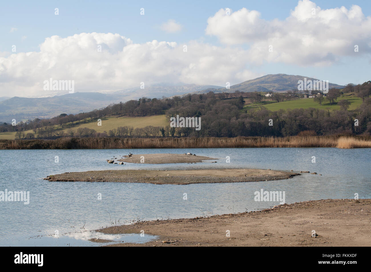 View of the lake and reed beds at Conwy RSPB Nature Reserve North Wales United Kingdom Stock Photo