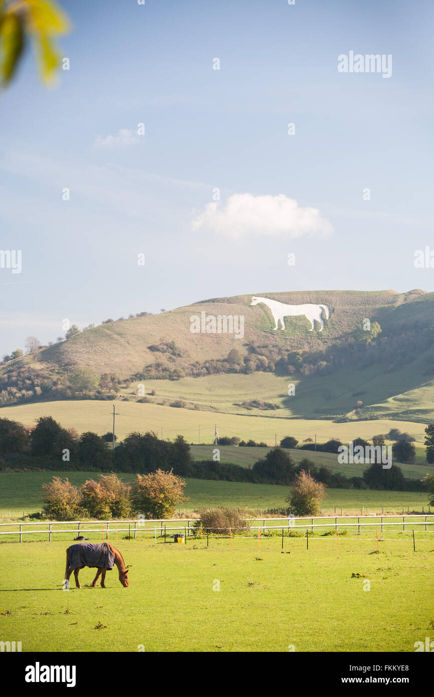 Huge chalk horse on hillside above Westbury,Somerset,England,U.K Stock