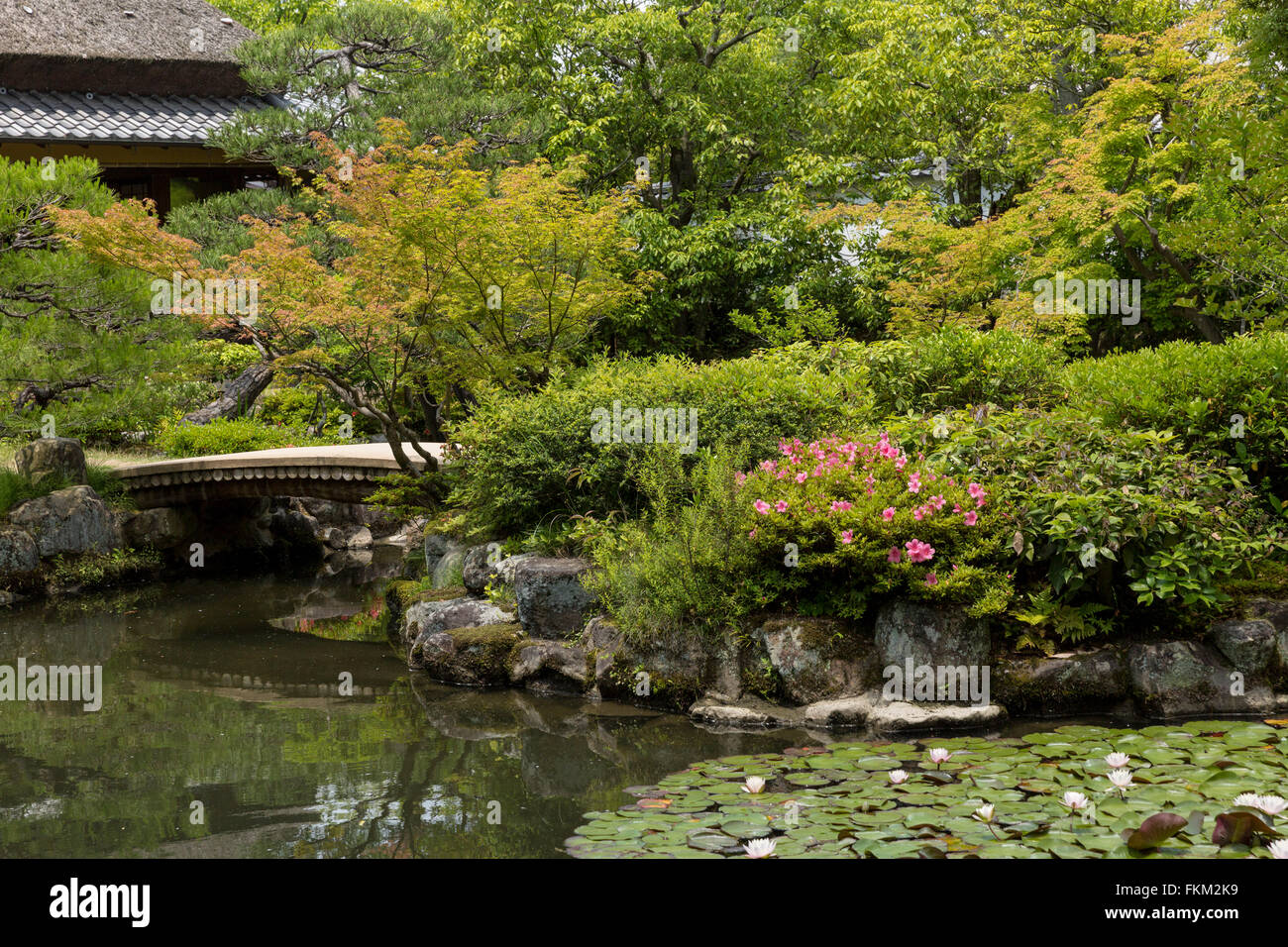 Isuien's pond and back garden, Nara, Nara Prefecture, Kansai region of Japan. Stock Photo