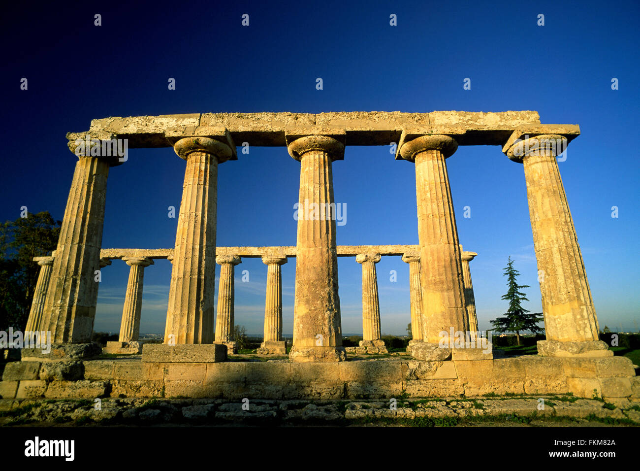 Italy, Basilicata, Metaponto, Tavole Palatine, greek temple of Hera Stock Photo