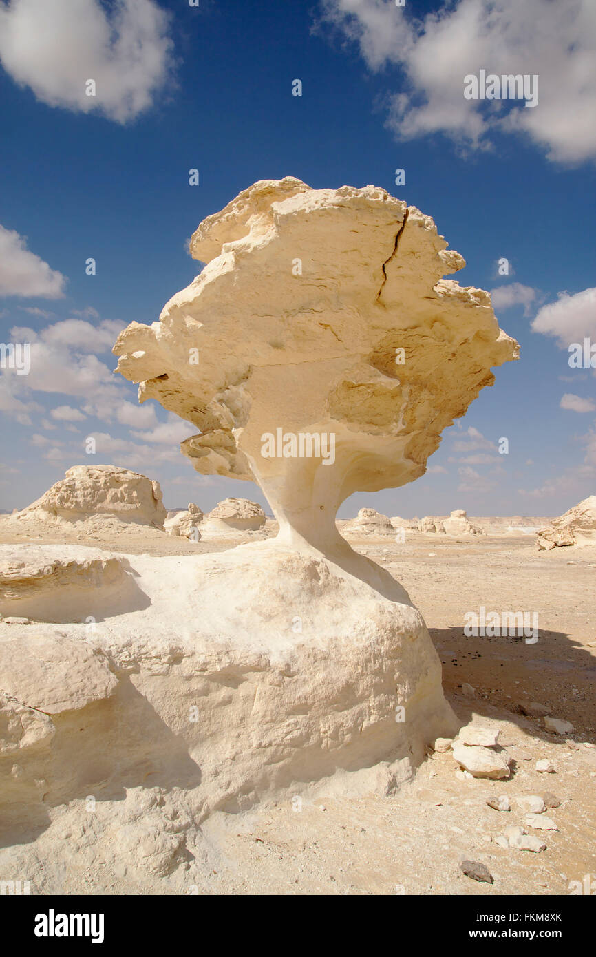 Mushroom rock formation in the White Desert, Egypt Stock Photo Alamy
