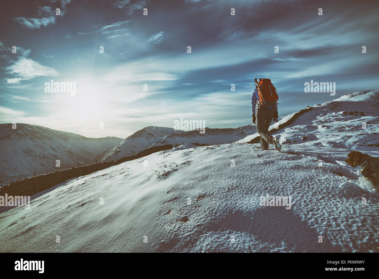 Hiker walking their dog over snow covered mountains in the UK. Grain and colour styling applied Stock Photo