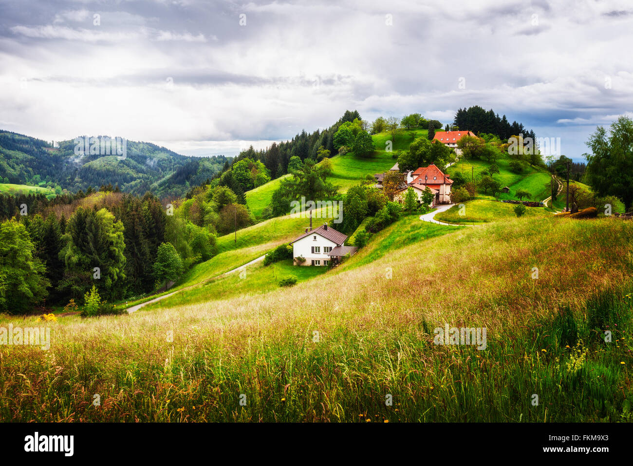 Beautiful hill landscape with houses and fir trees. Springtime in black forest schwarzwald, Germany Stock Photo