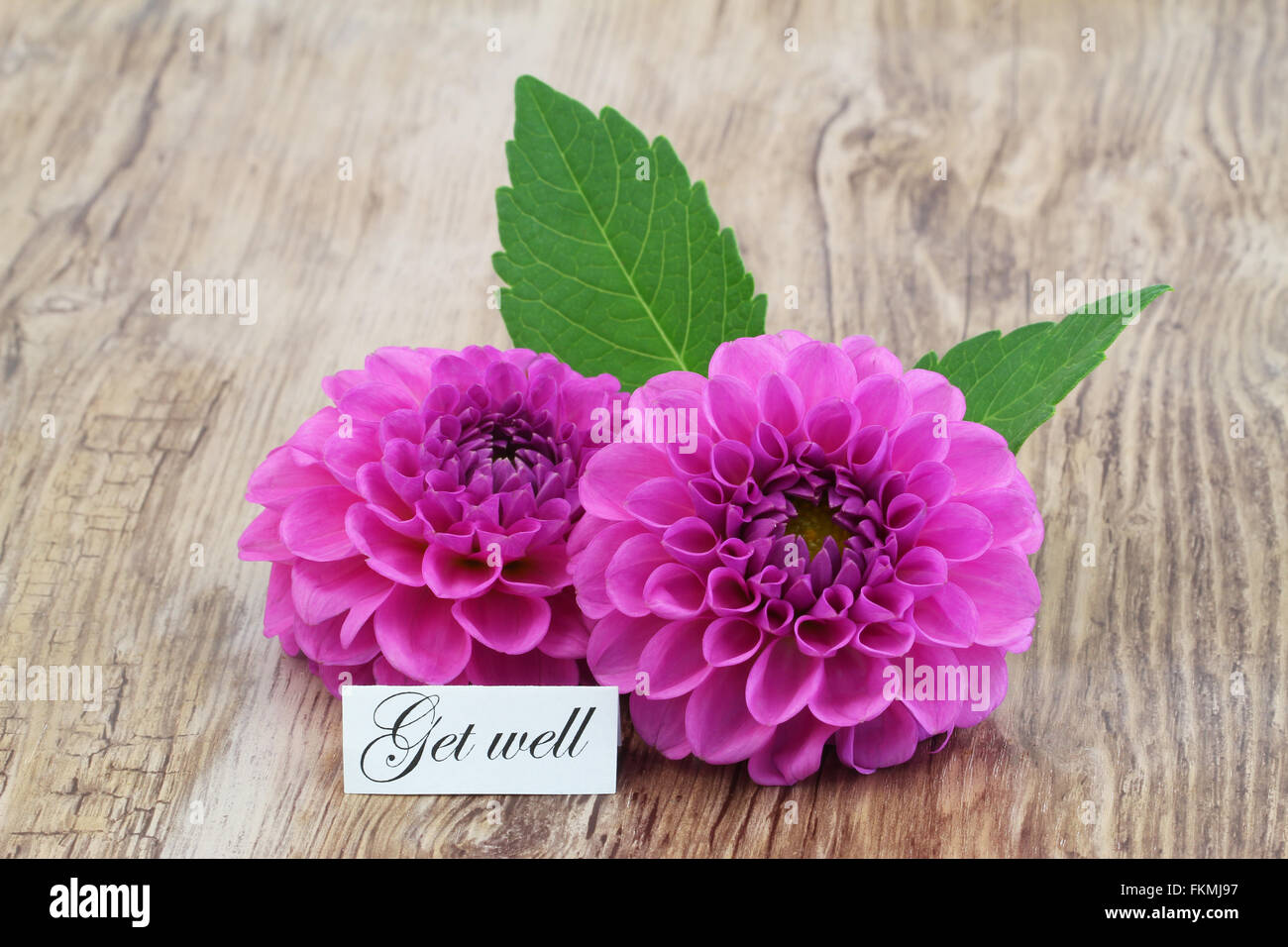 Get well card with pink dahlia flowers on wooden surface Stock Photo