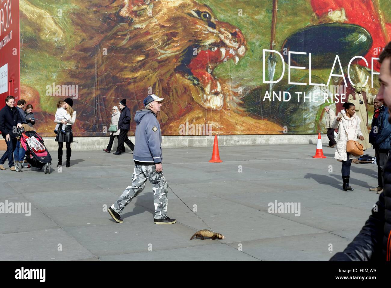 Man walking with a ferret on a lead in central London Stock Photo