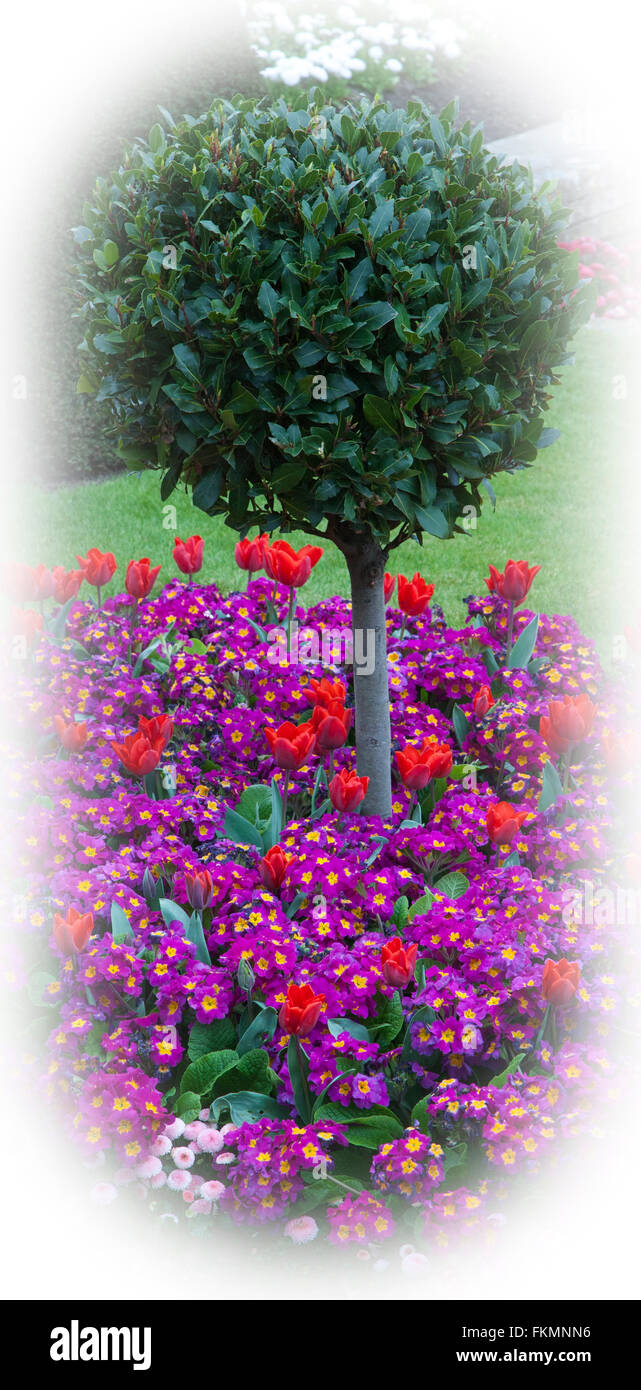 Round Bush & Spring Flowers ,Vignetting Effect Stock Photo