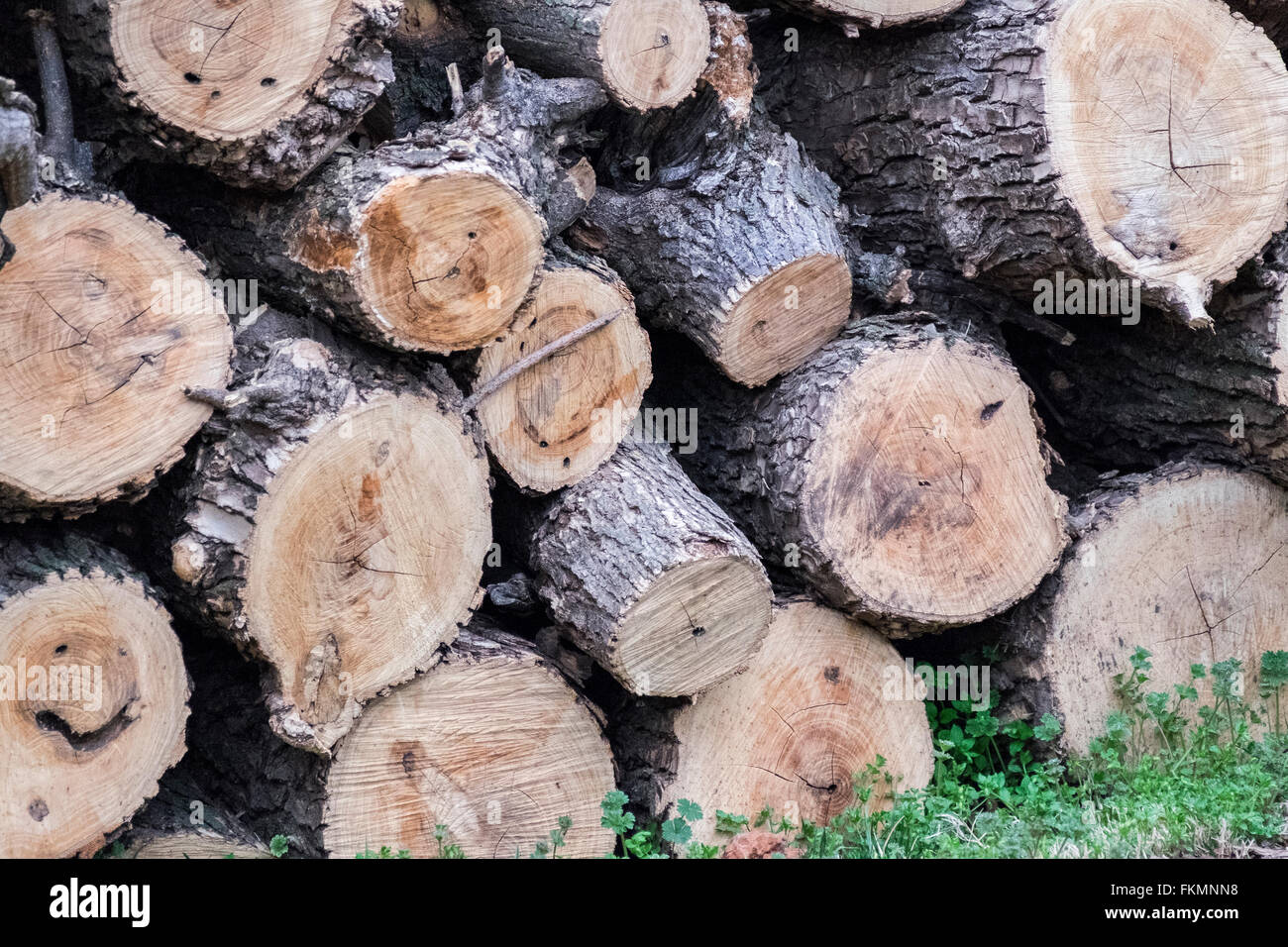 Ash Marks High Resolution Stock Photography and Images Alamy