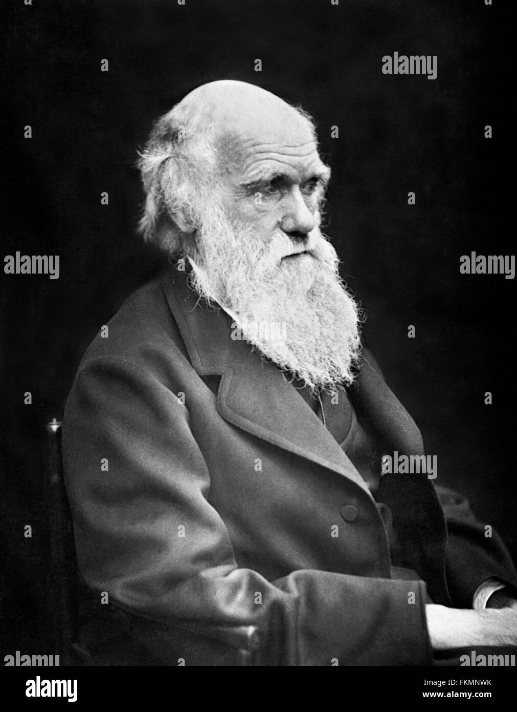Charles Darwin. Portrait of the English naturalist Charles Darwin (1809-1882) taken c.1869 Stock Photo