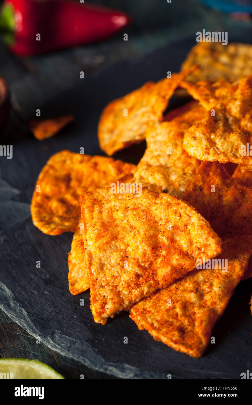 Homemade Chili Lime Tortilla Chips with Salsa Stock Photo Alamy