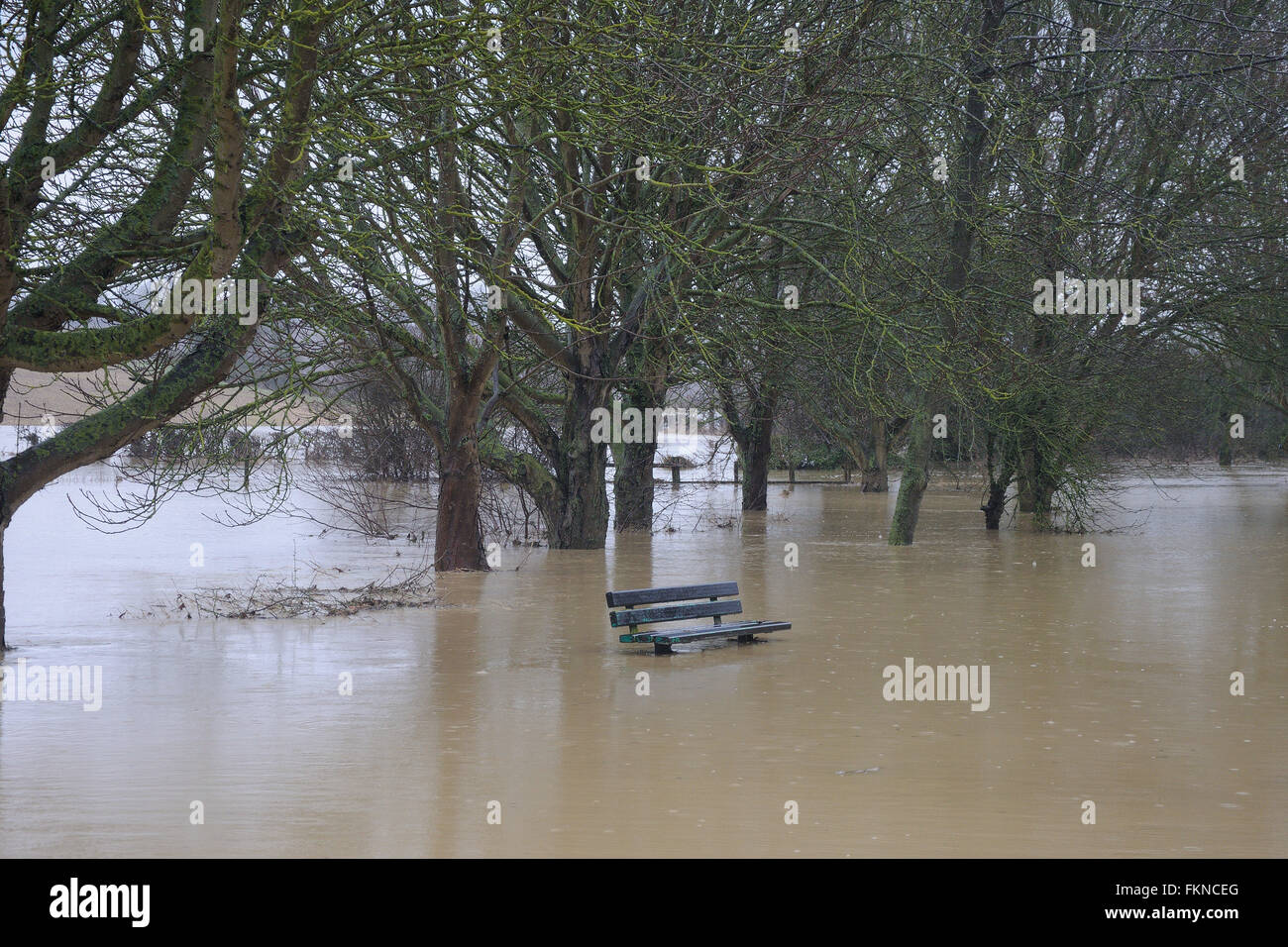 Corby Glen, UK. 9th March, 2016. The River Glen bursts it's banks