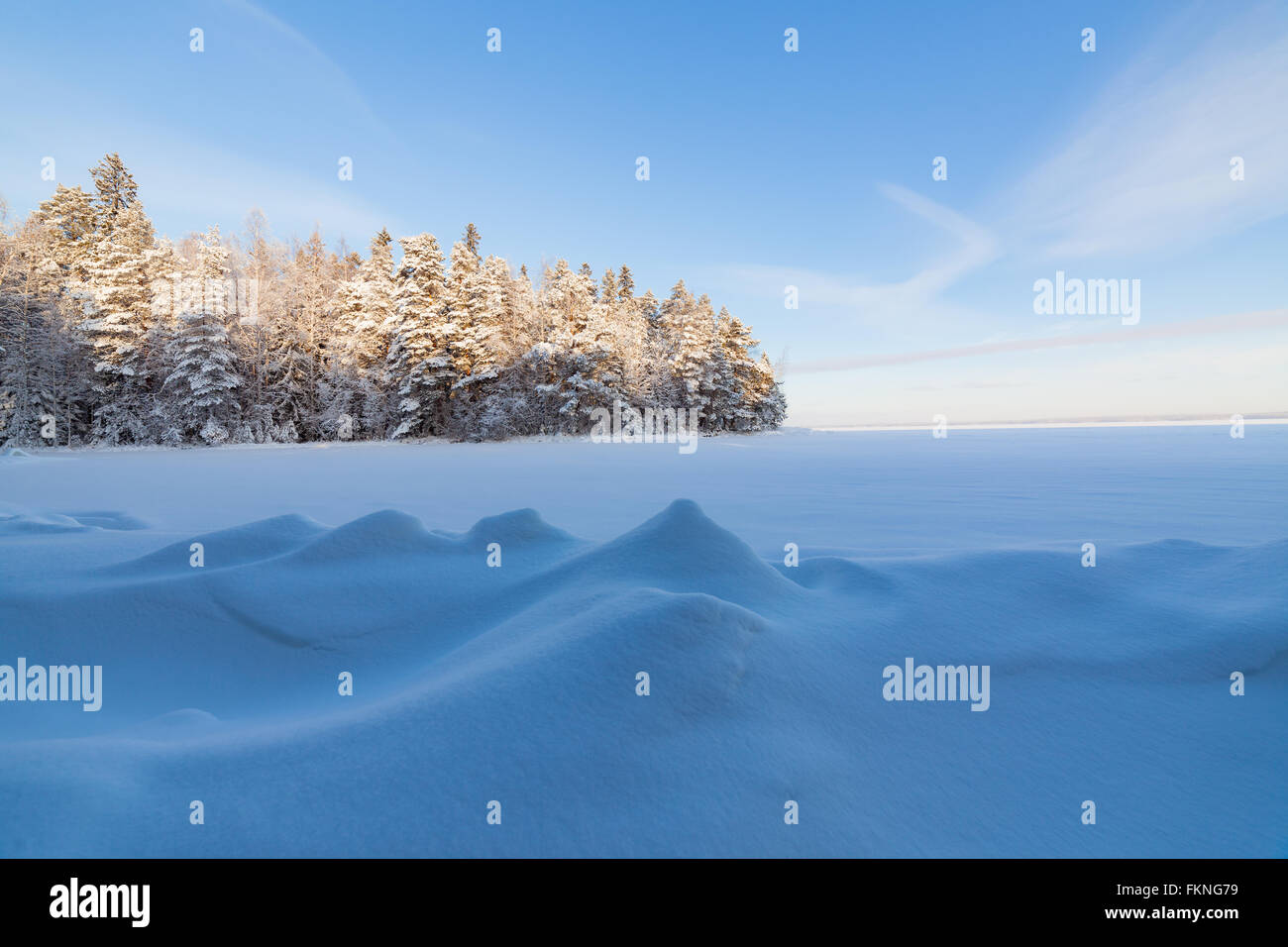 Frozen lake shore and snow covered forest Stock Photo - Alamy