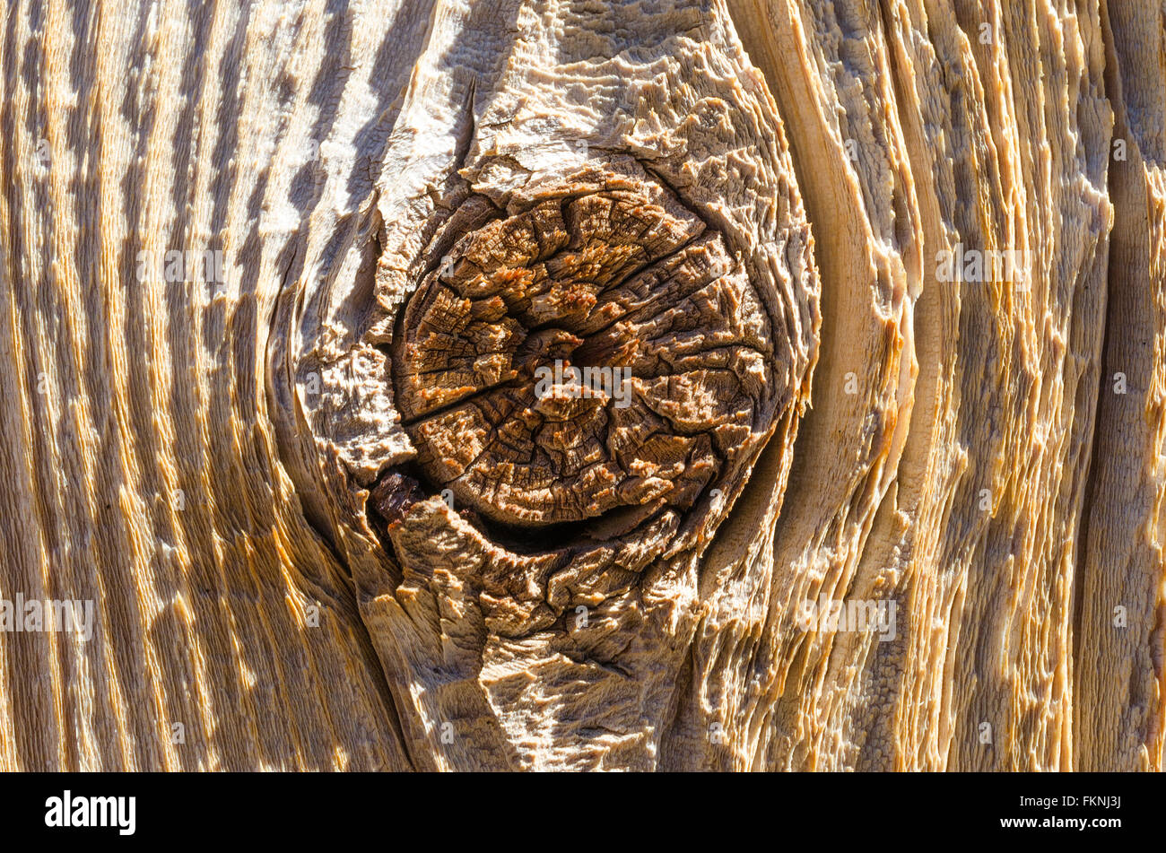Rustic wood plank with coarse grain and knot Stock Photo Alamy