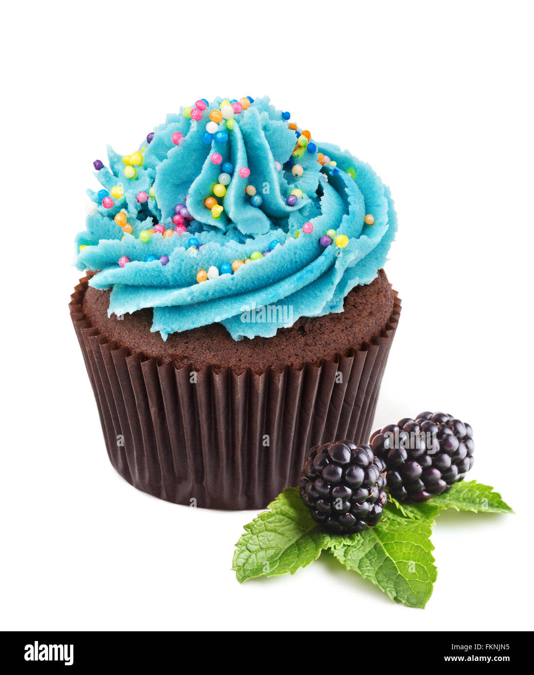 chocolate cupcake with fresh  blackberries isolated on white Stock Photo