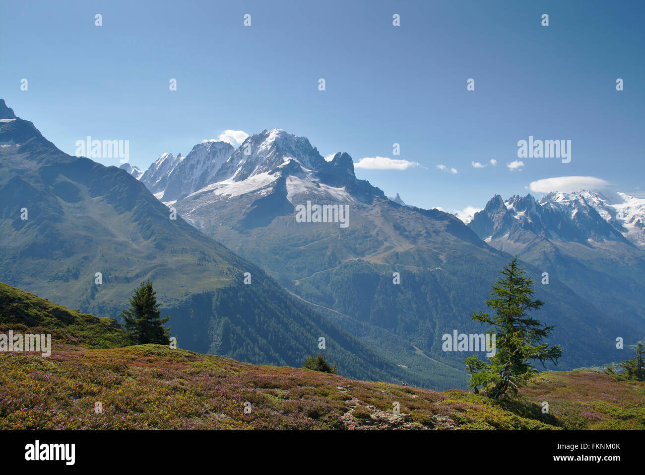 Aiguille Verte fom Balme, Mont Blanc Massif, France Stock Photo