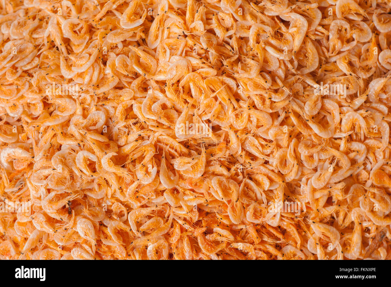 Dry preserved shrimps in seafood market Stock Photo Alamy