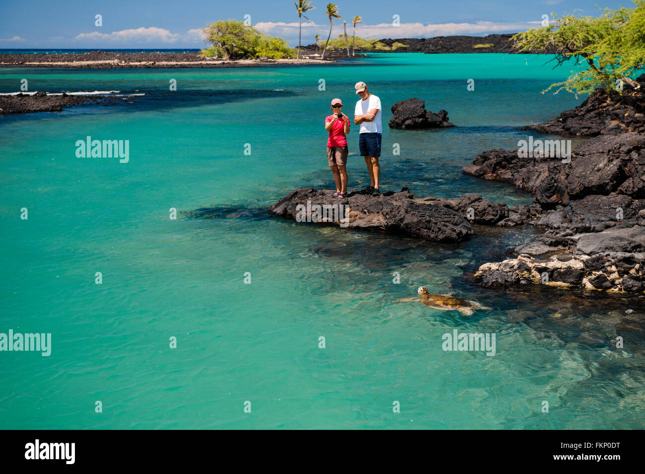 Kiholo Bay on the big island of Hawaii, USA, is a place that sees few people and lots of sea turtles. Stock Photo