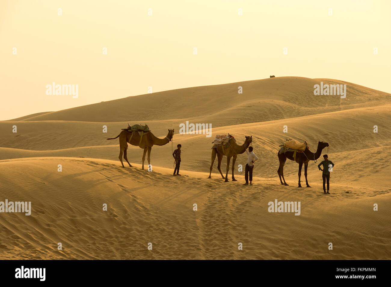 Camel Boy crossing in the Thar Desert during sunset. Thar Desert located at Jaisalmer, Rajastan Stock Photo