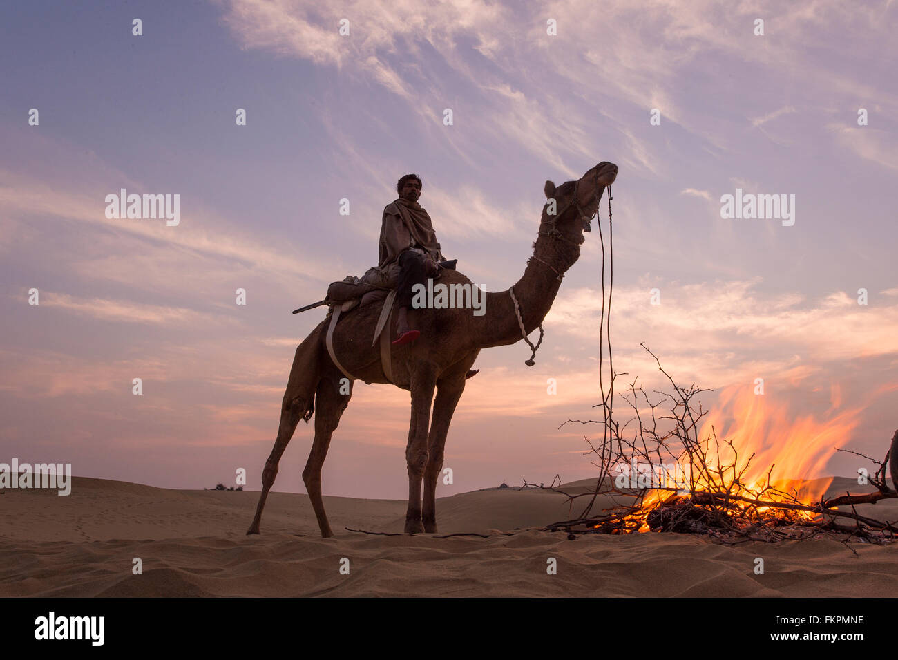 Camel Trader   in the Thar Desert during sunrise. Thar Desert located at Jaisalmer, Rajastan, Stock Photo