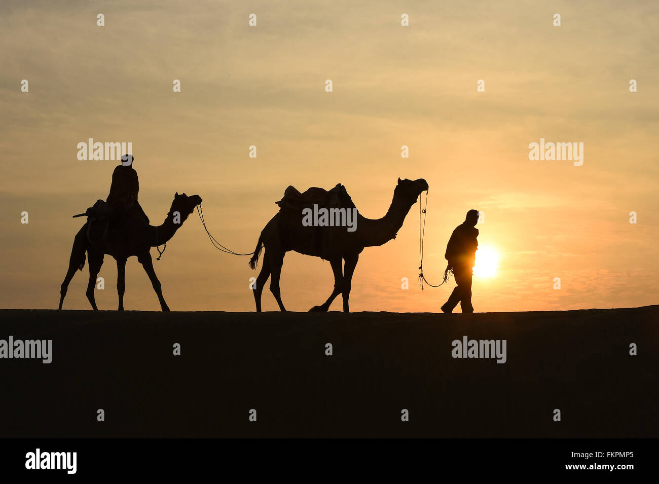 Silhoutte of Camel Trader in the Thar Desert during sunrise. Thar Desert located at Jaisalmer, Rajastan, India. Stock Photo
