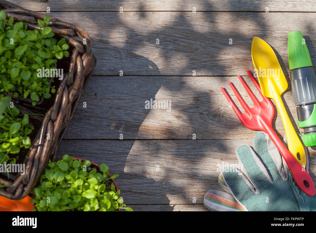 Gardening tools and seedling on garden table. Top view with copy space
