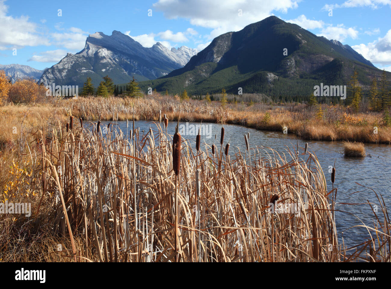 Mount Rundle and the Vermilion lakes in Banff NP Stock Photo