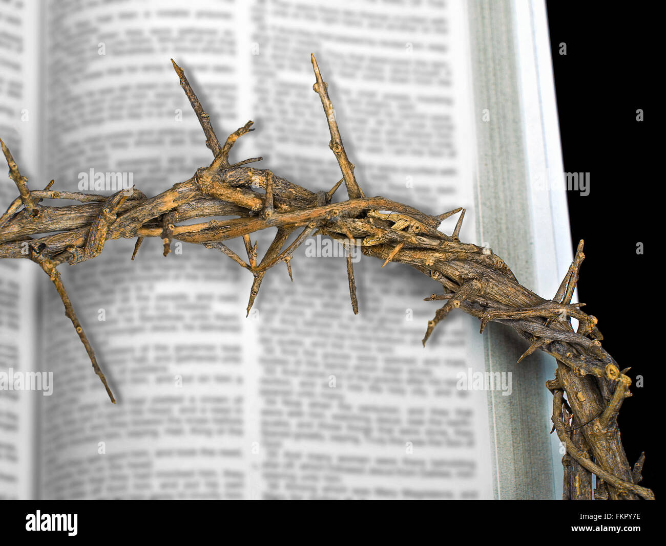 Close up of crown of thorns on blurred page of Holy Bible. Stock Photo