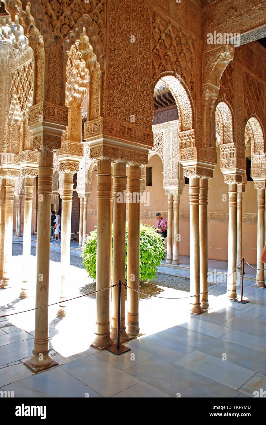 Marble arches forming the arcades surrounding the court of the Lions (Patio  de los leones), Palace of Alhambra, Granada, Spain Stock Photo - Alamy