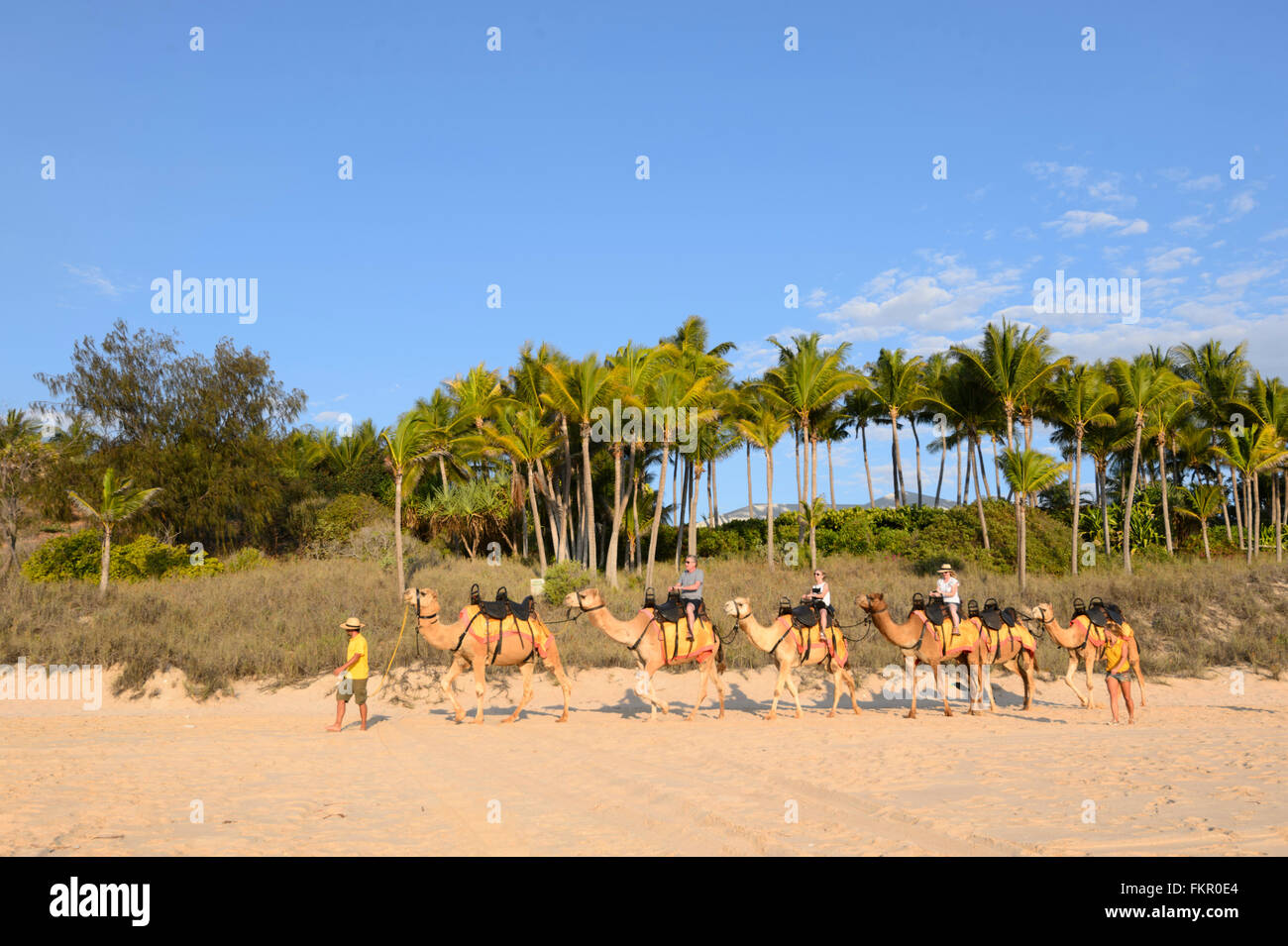 Tourist camel train on Cable Beach, Broome, Kimberley Region, Western Australia, WA, Australia Stock Photo