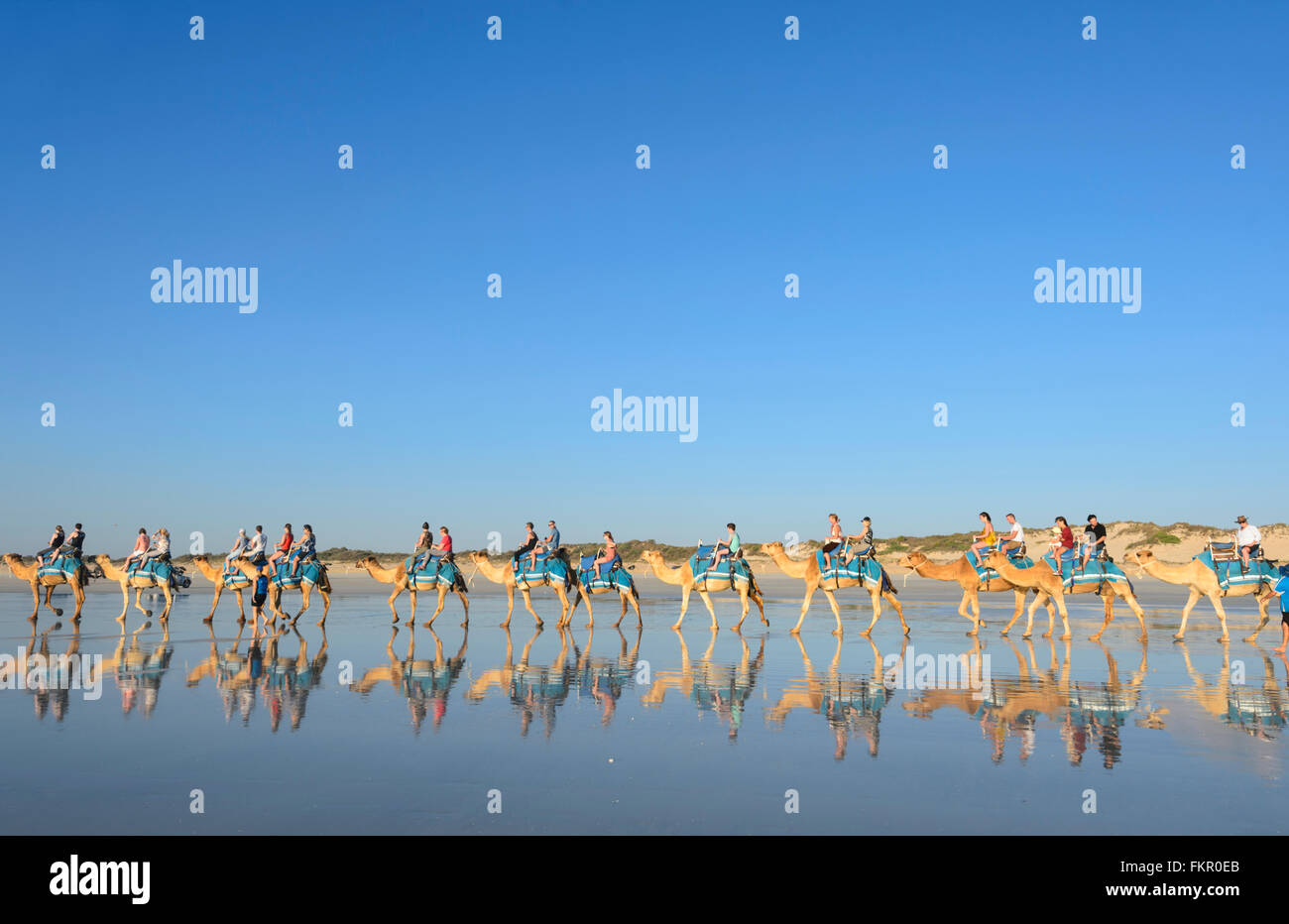 Tourist camel train on Cable Beach at sunset, Broome, Kimberley Region, Western Australia, WA, Australia Stock Photo