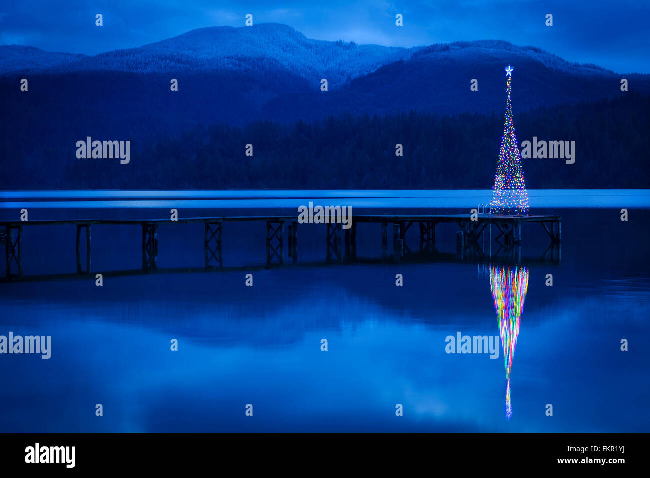 Christmas tree reflecting in lake Stock Photo