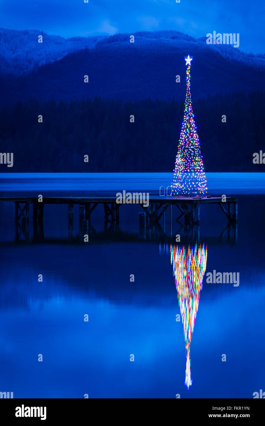 Christmas tree reflecting in lake Stock Photo