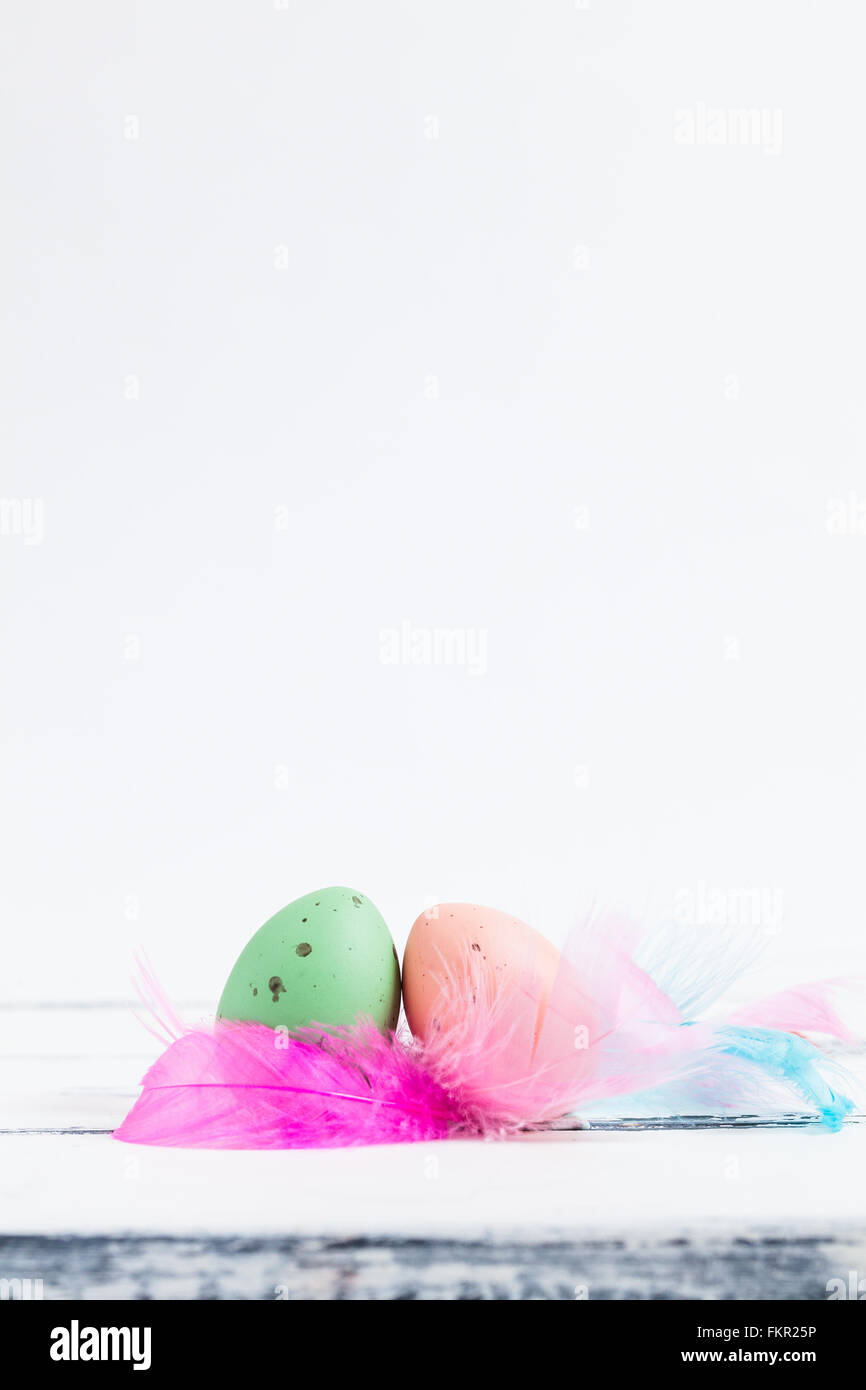 Easter picture with two pastel colored candy eggs and feathers with copy space Stock Photo