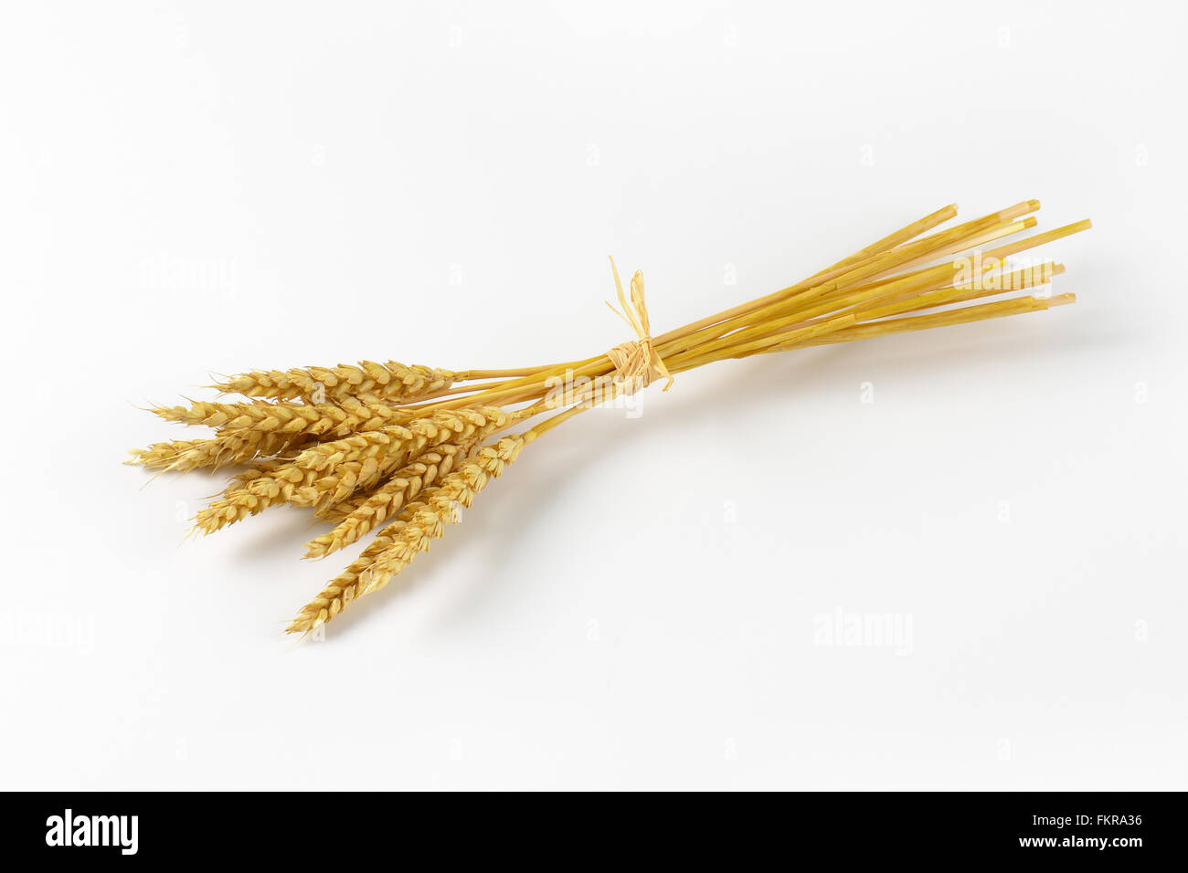 Art knife - Golden wheat bundle - Noblie