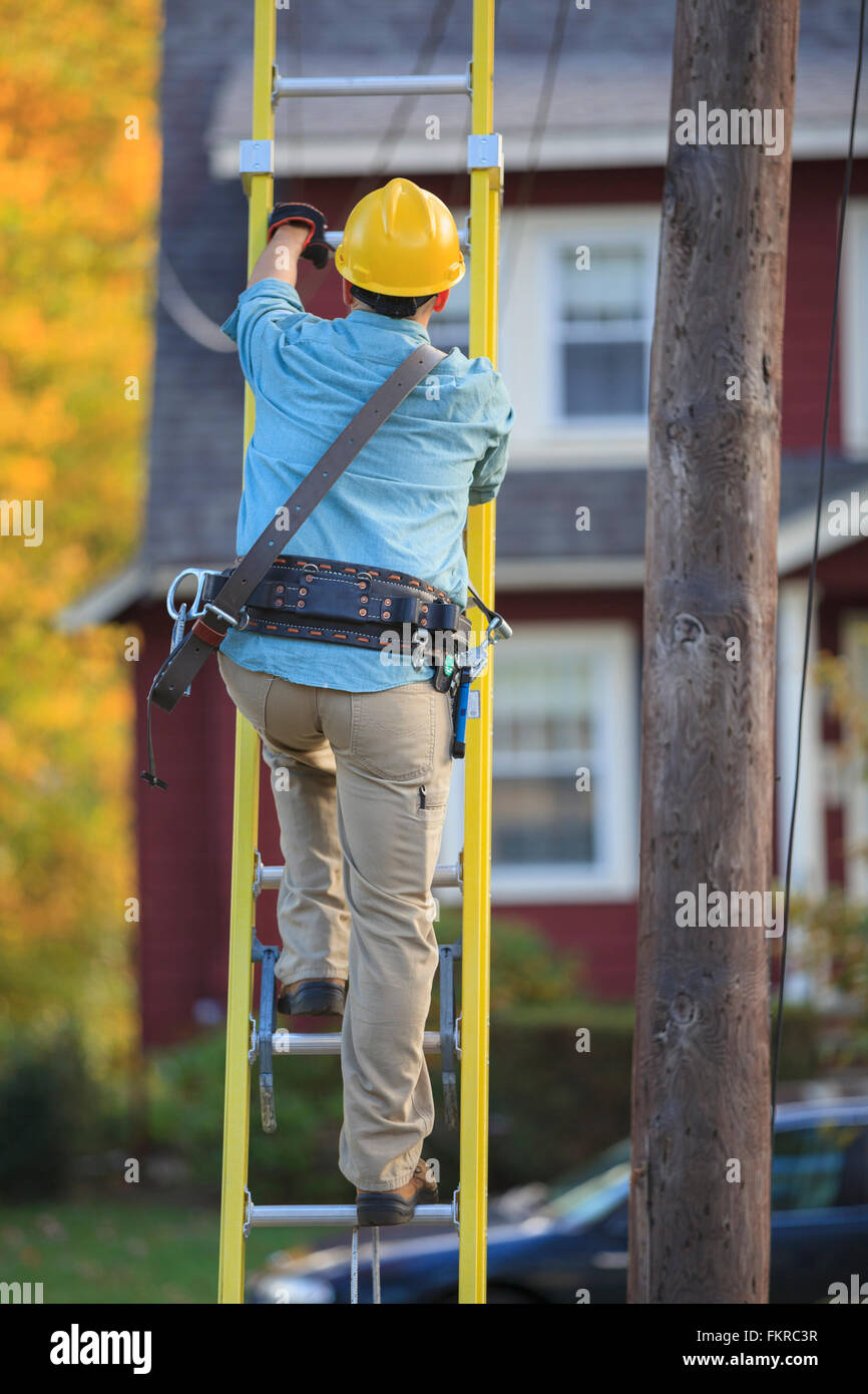 Caucasian worker climbing ladder at tree Stock Photo