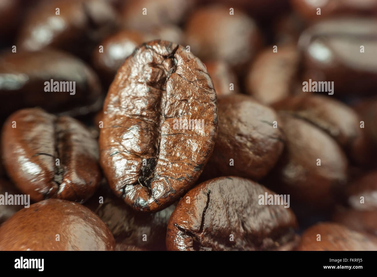 Macro coffee bean on shadow background Stock Photo