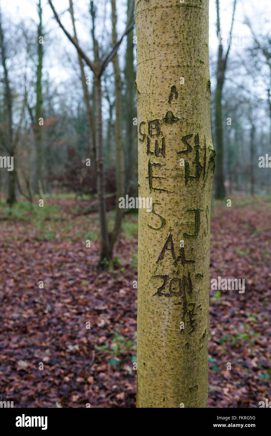 Initials wood hires stock photography and images Alamy