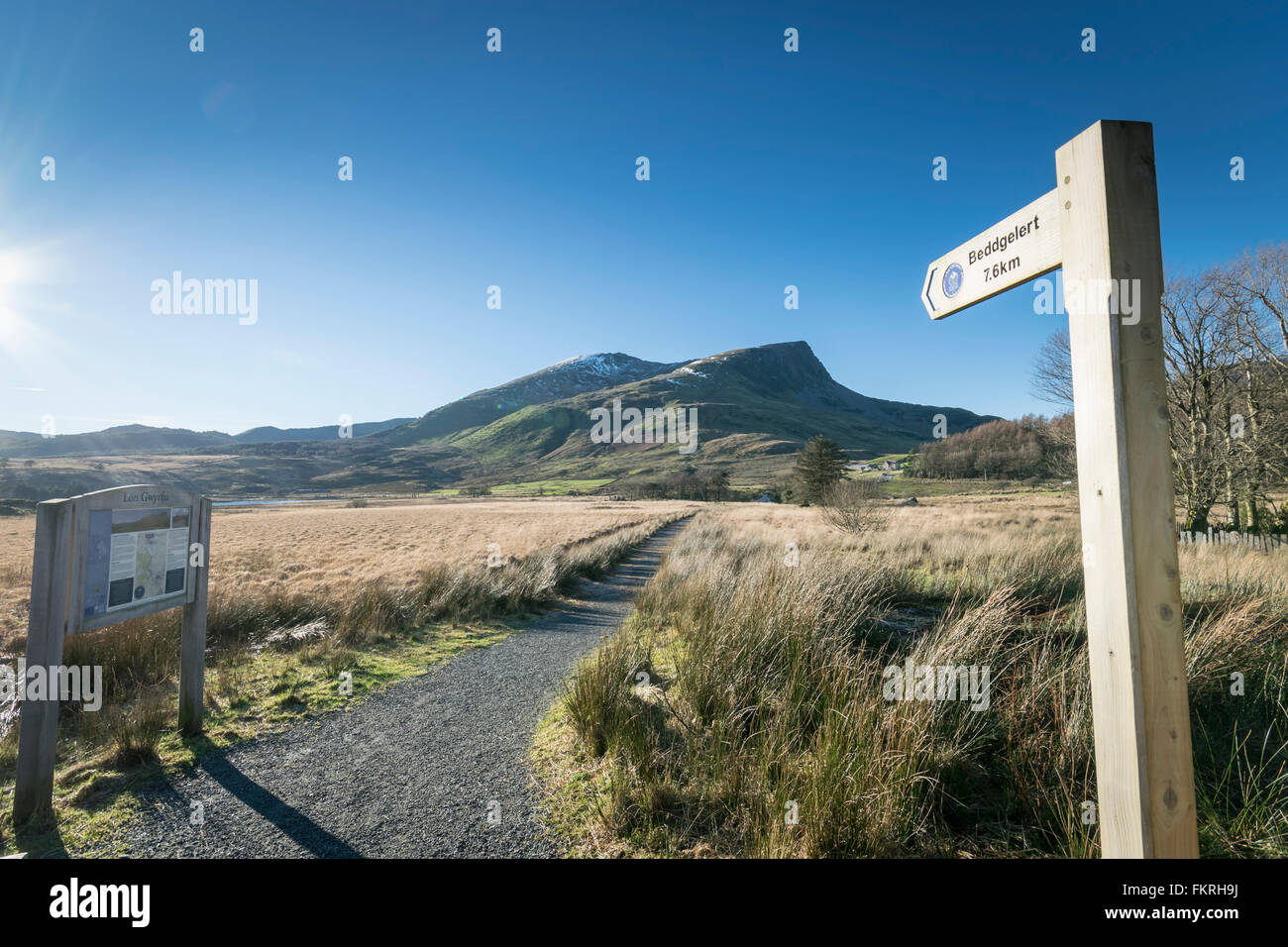 Lon Gwyrfai cycle, walking and horse track crossing the Lyn y Gadder sssi site from Rhyd-ddu to Bedgelert in Snowdonia Stock Photo