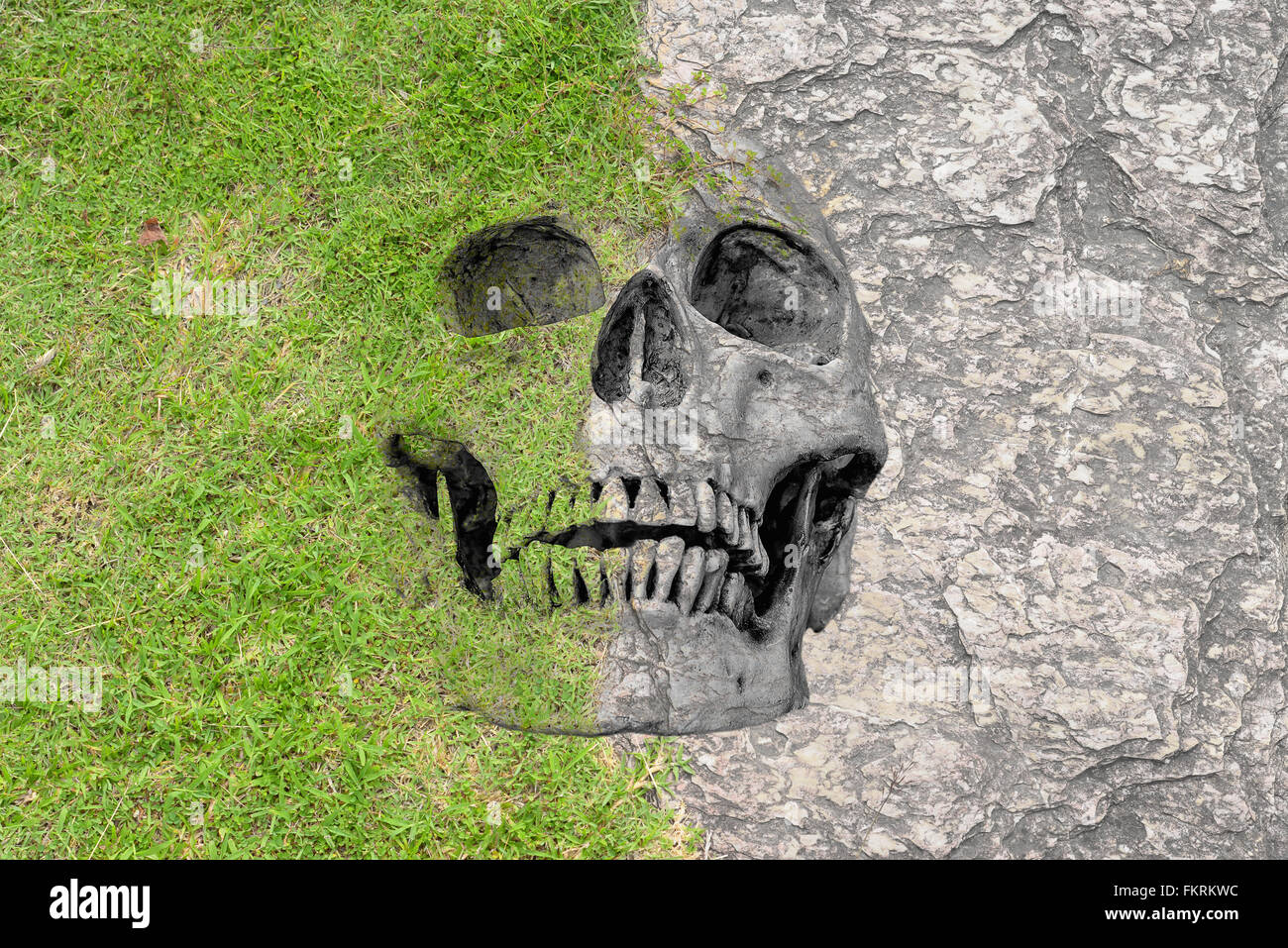 abstract symbol idea, Disparity Soft Hard and life, skull in short grass lawn and seamless rock texture. Disparity of life No.1 Stock Photo