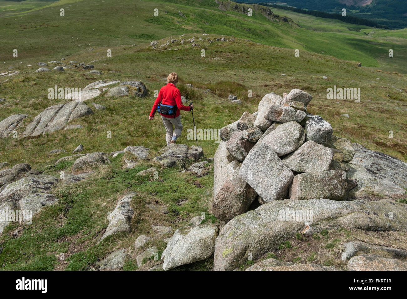 A walker Leaving Rough Crag on Birker fell Cumbria Stock Photo Alamy