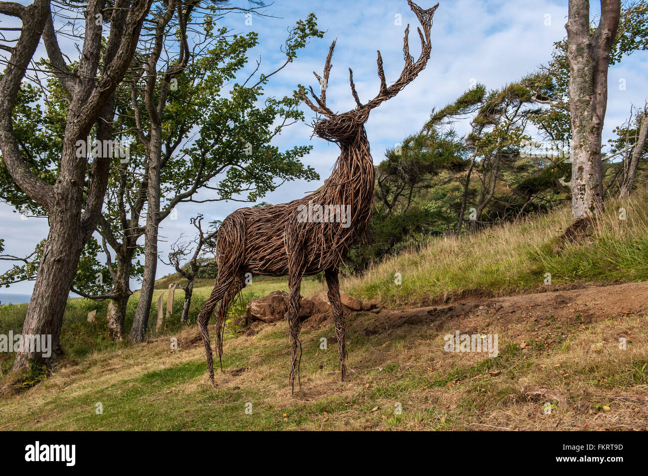 Wicker Stag sculpture Calgary Bay Isle of Mull Stock Photo Alamy