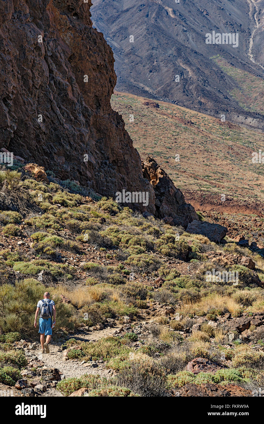 Hiker on a trail around Roques del Garcia rock formation, at the foot of Teide volcano (3718 m). Stock Photo