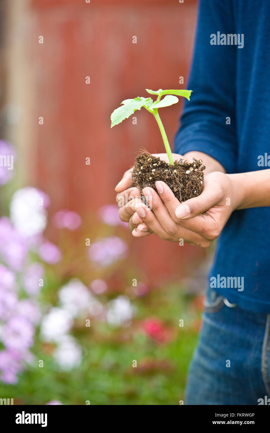 Japanese gardener holding potted plant outdoors Stock Photo