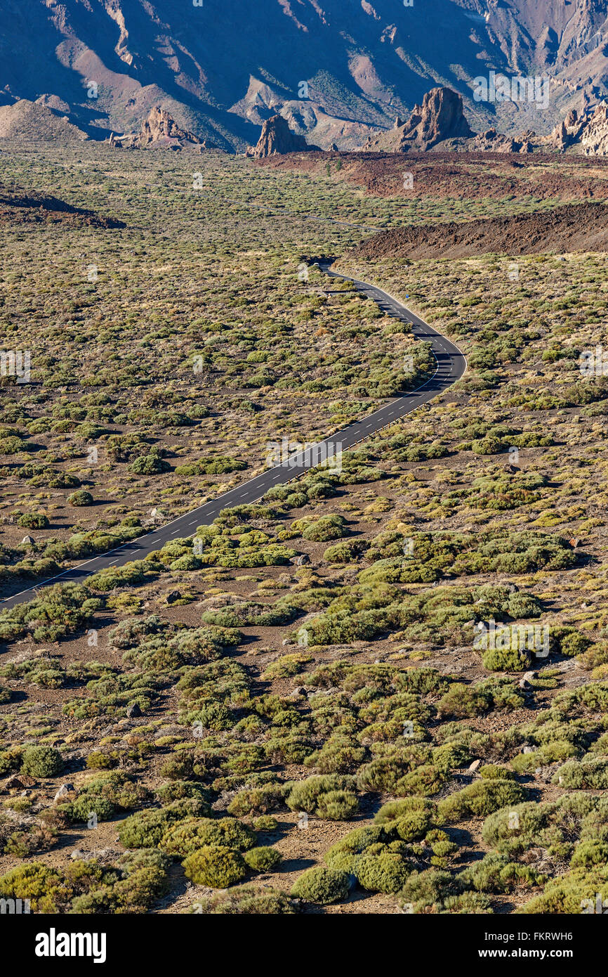 Tarmac road crosses the rugged landscape at the foot of Teide volcano. Stock Photo