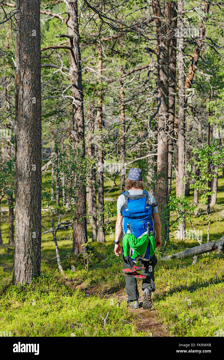 Trekker hiking in forest in Urho Kekkonen National Park, Lapland, Finland. Stock Photo