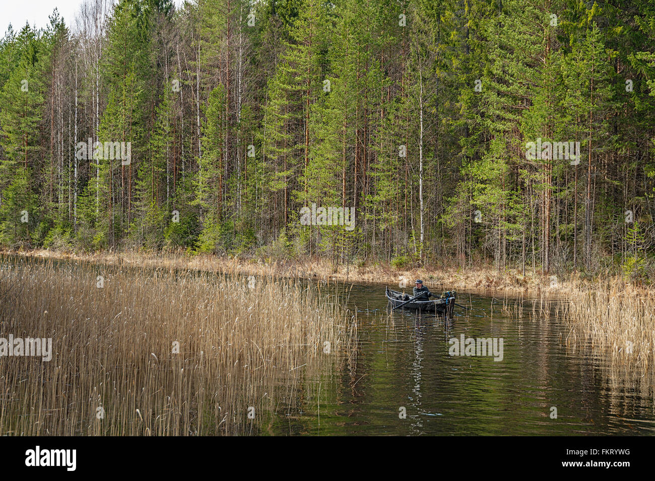 Man with a rowing boat in Repovesi National Park, Finland. Stock Photo