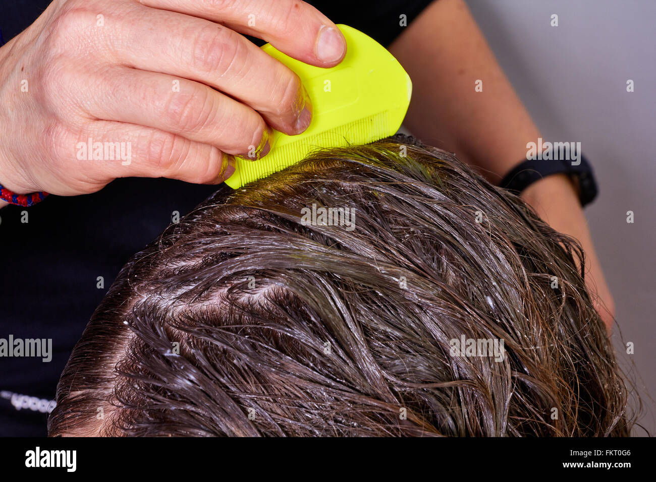 person combing for lice in a child's wet foamy hair Stock Photo