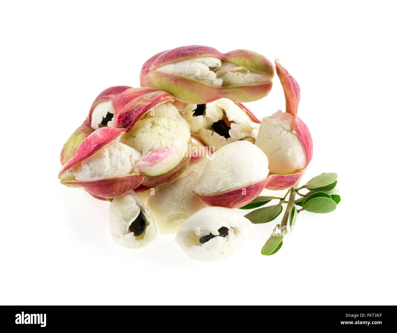 Manila tamarind fruit isolated on white background Stock Photo Alamy