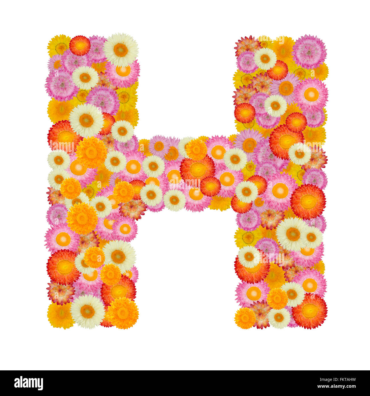 Letter H alphabet with straw flower isolated on white background Stock Photo
